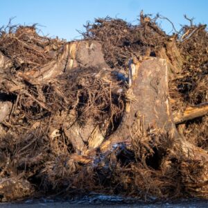 Have-parkaffald - med jord og rødder